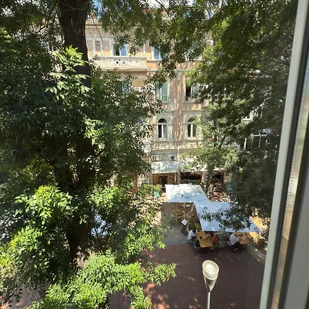 Summer Varna